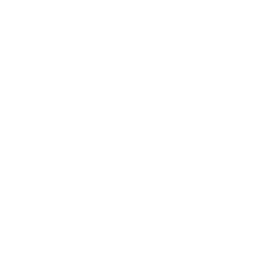 نجمة زخرفية